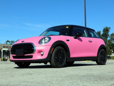 Mini Cooper Matte Pink