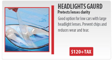 Head lights guard