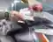 matte_ppf2.webp
